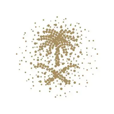 الديوان العام للمحاسبة