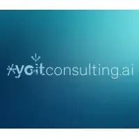 شركة YO IT Consulting